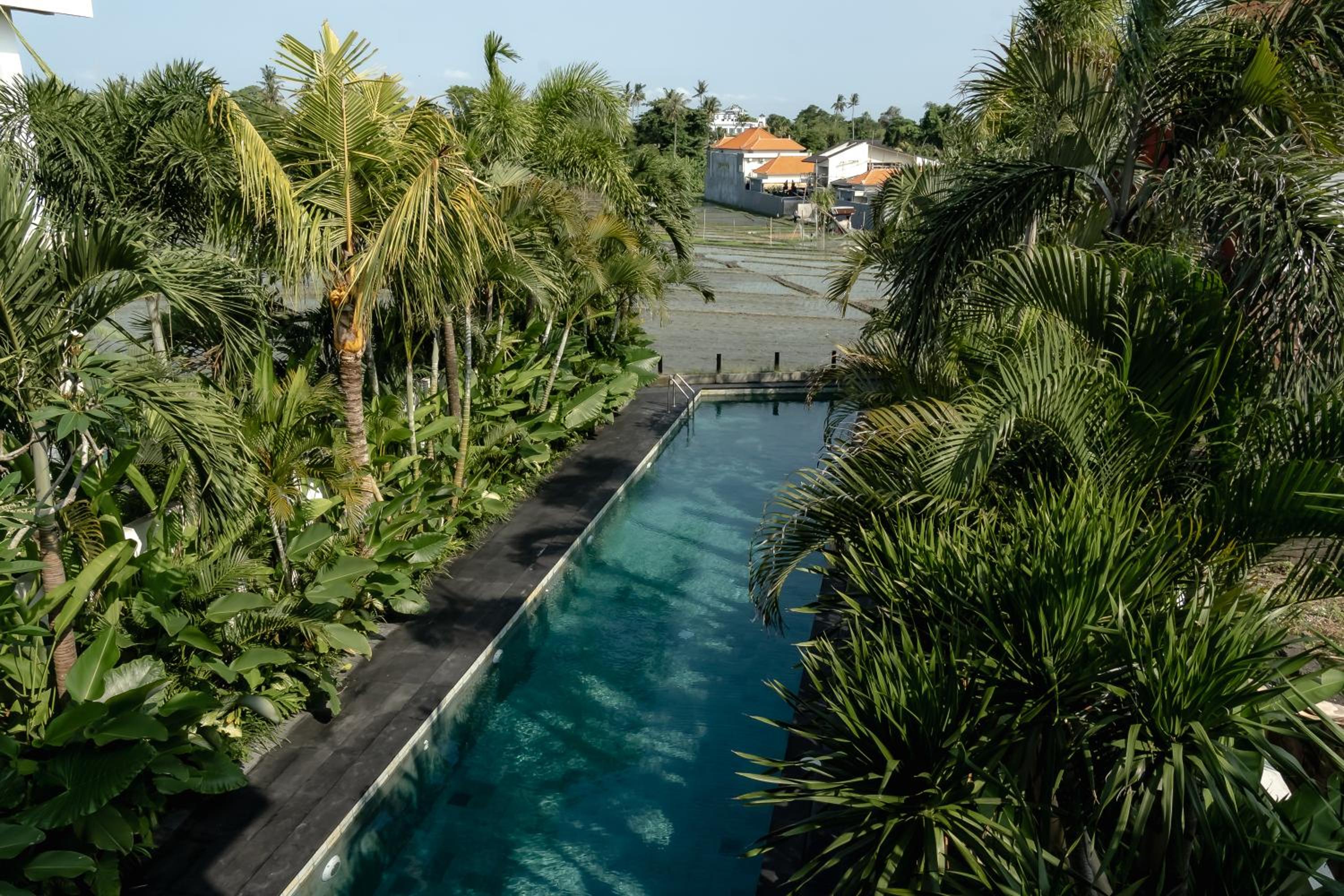 AMO Residences