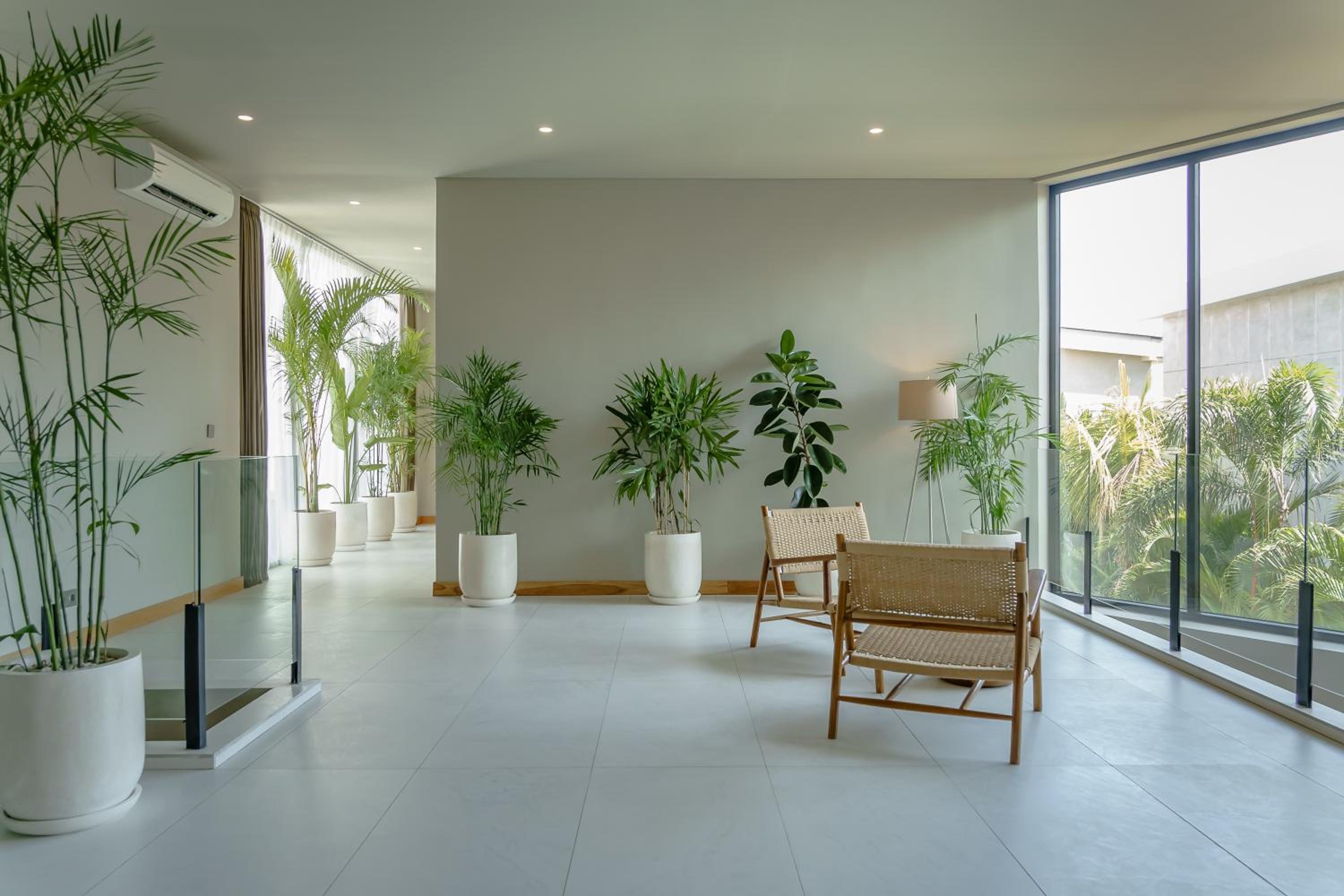 AMO Residences