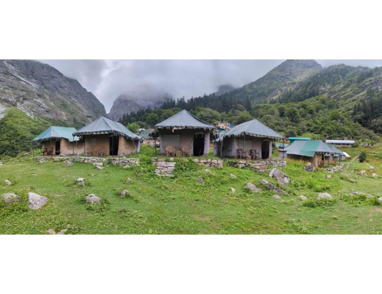 Camp Valley of flowers, Ghangaria