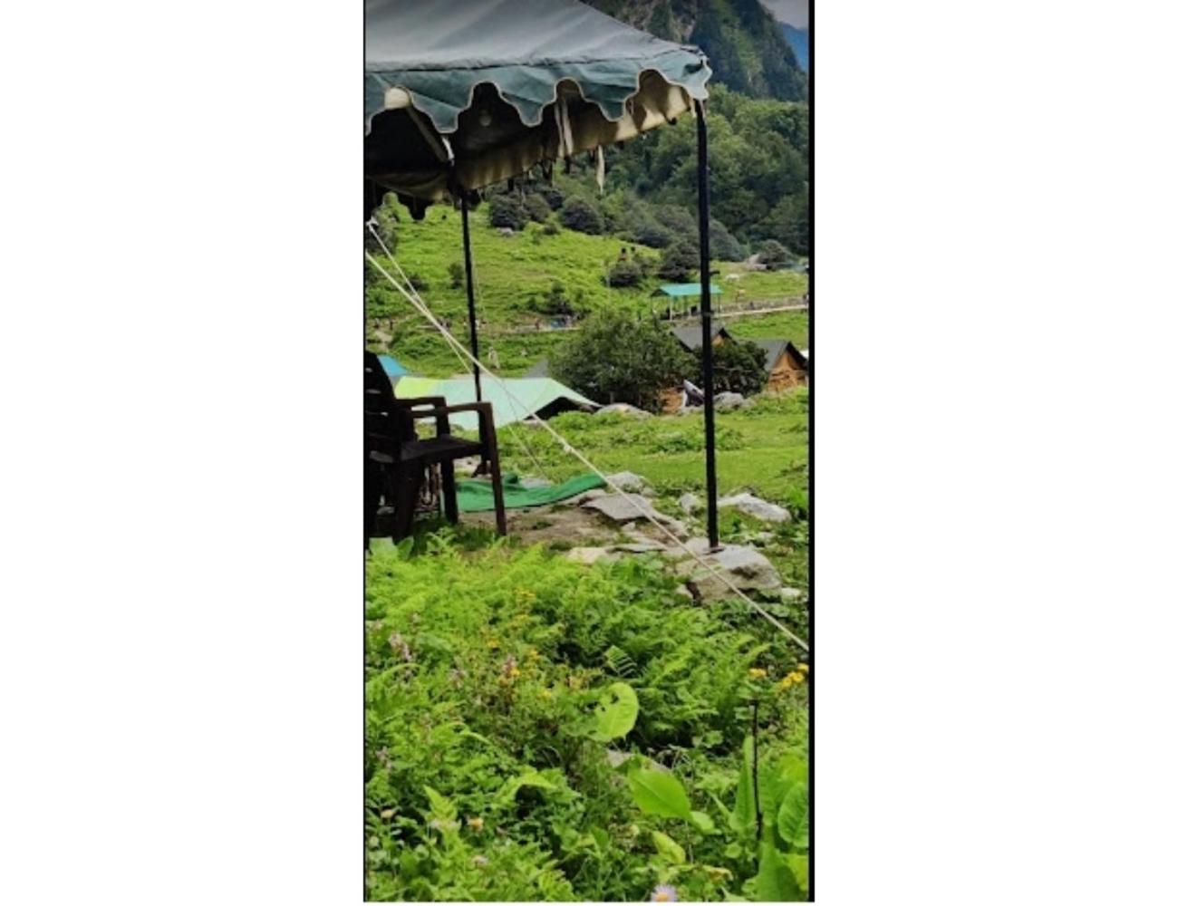 Camp Valley of flowers, Ghangaria