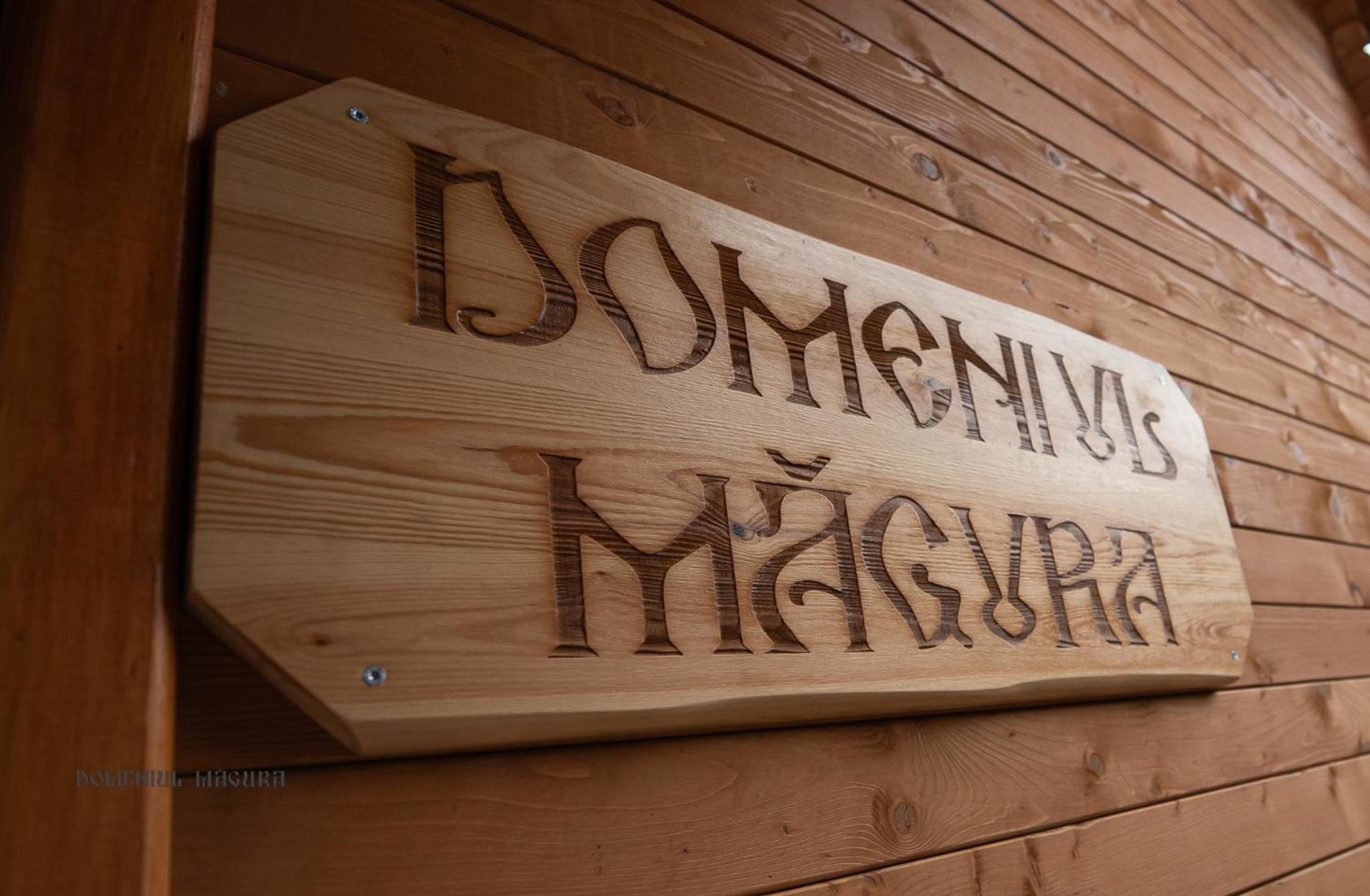 Domeniul Magura