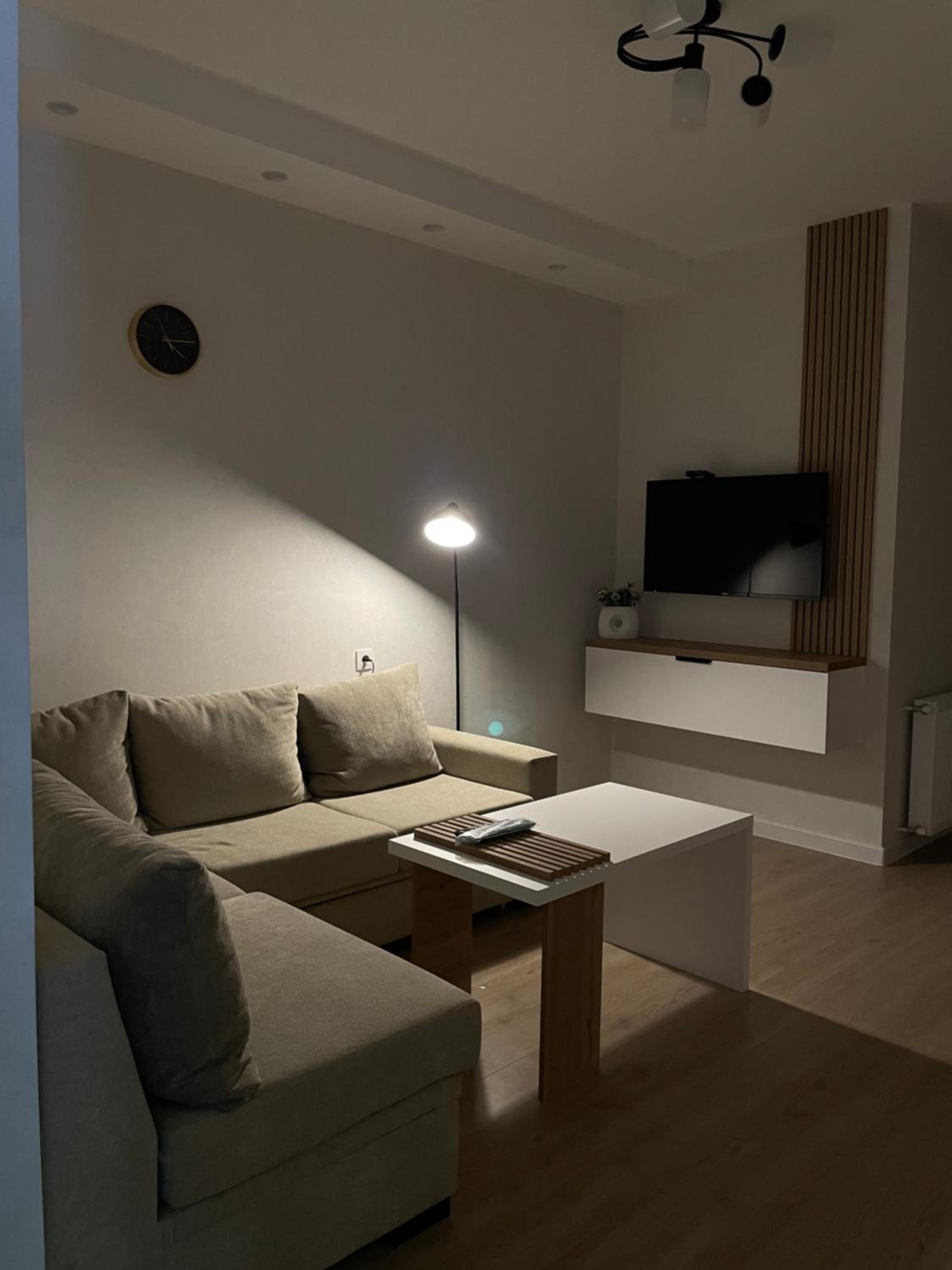 Modern apartment in Borjomi