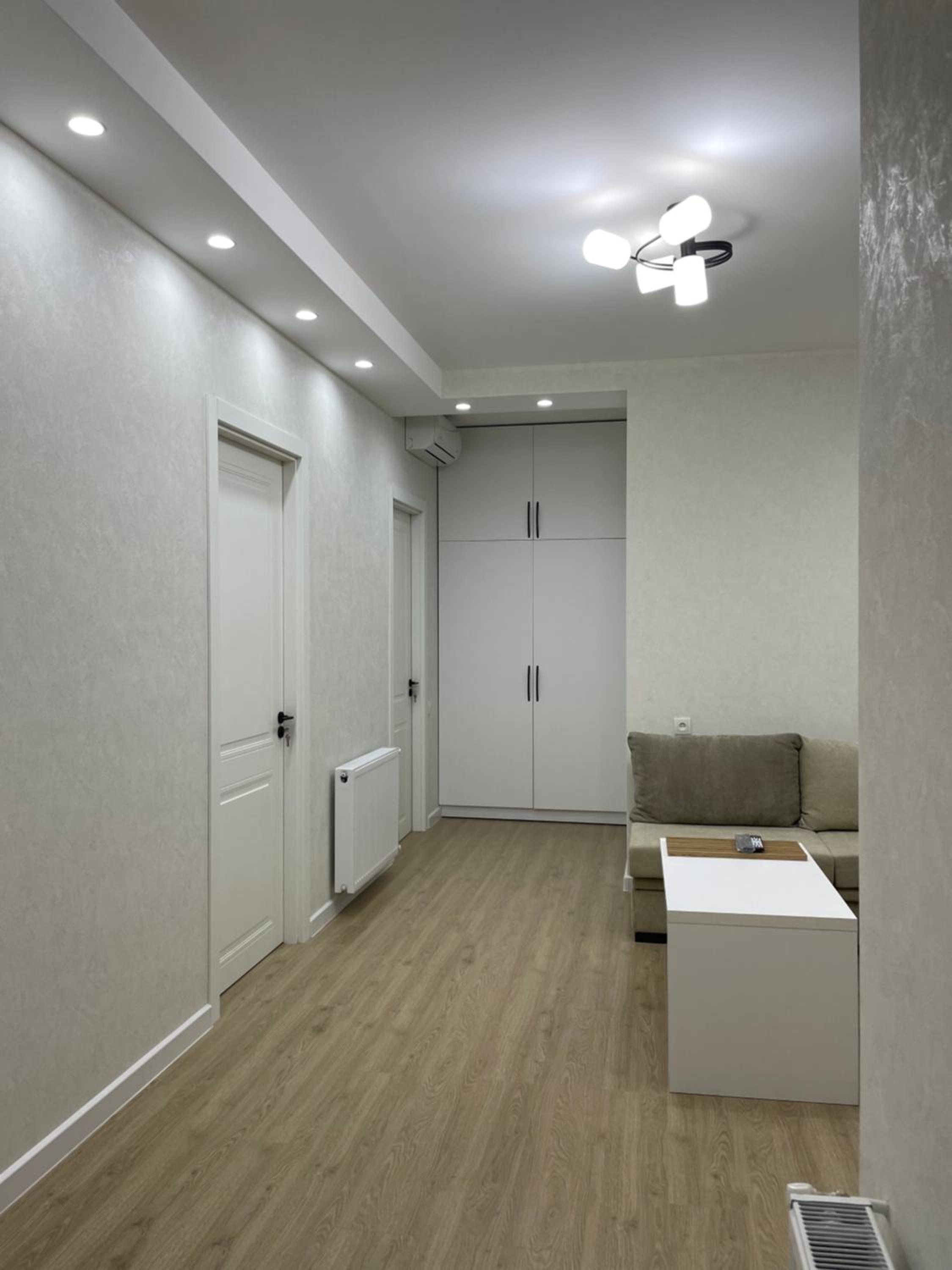 Modern apartment in Borjomi