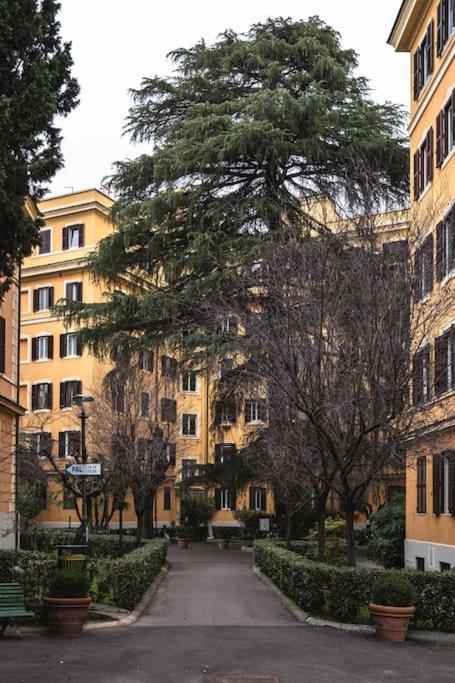 New apartment near Piazza del Popolo