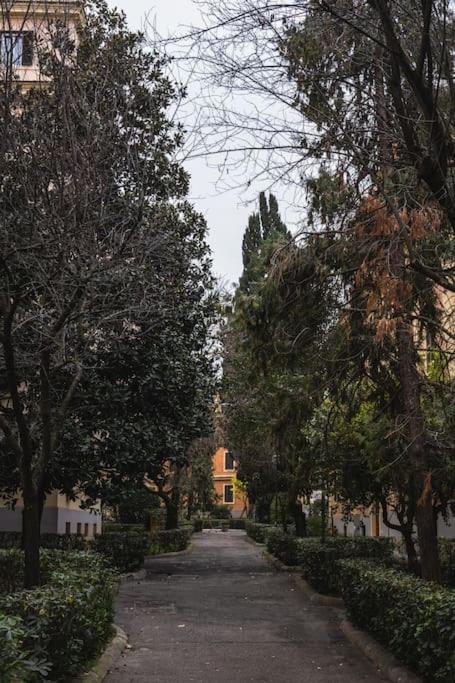 New apartment near Piazza del Popolo