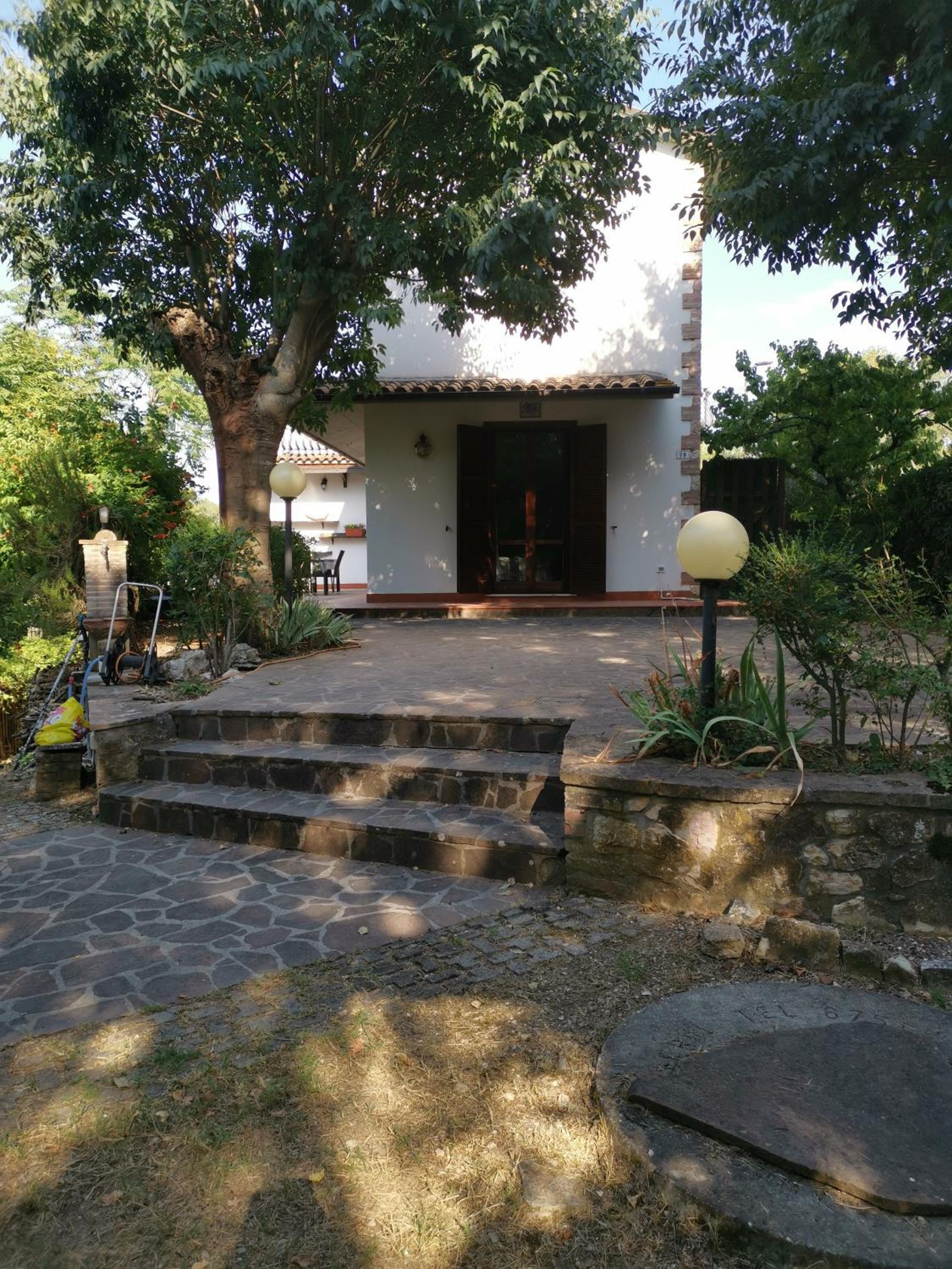 Vacanza nel boschetto