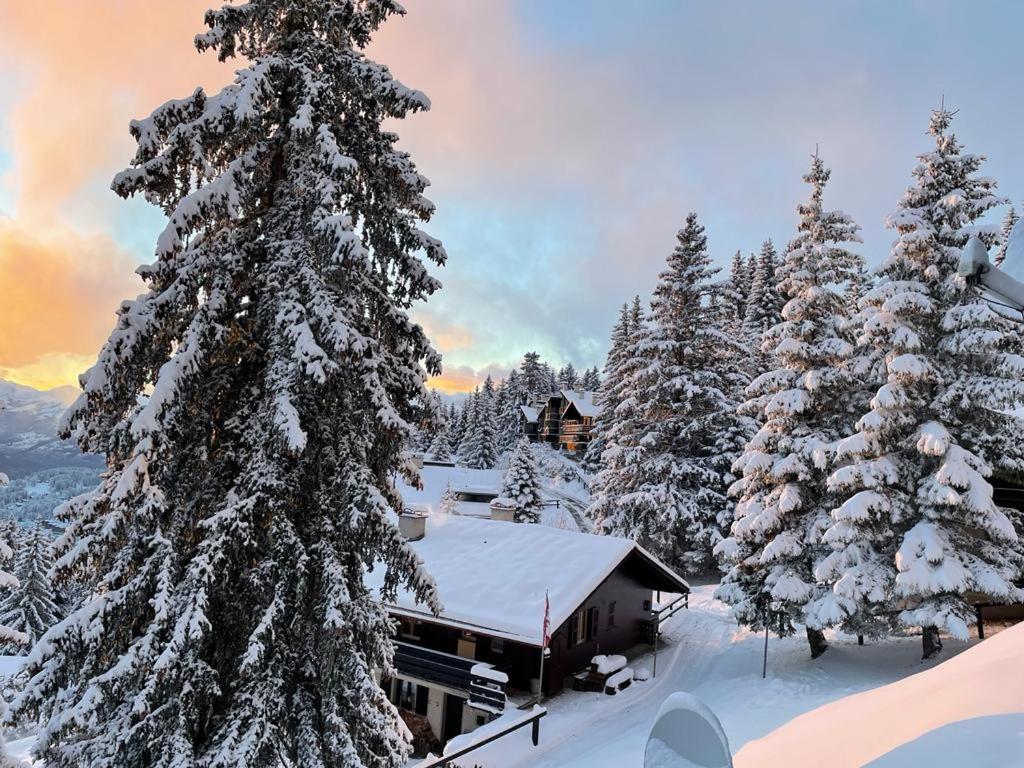 Appartement duplex chalet montagne