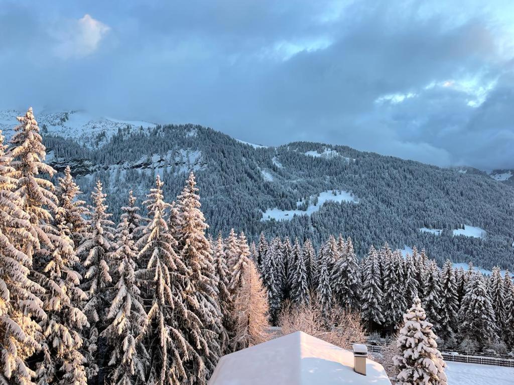 Appartement duplex chalet montagne