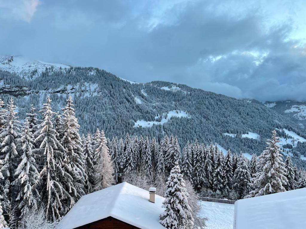 Appartement duplex chalet montagne