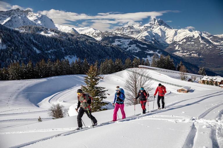Appartement duplex chalet montagne