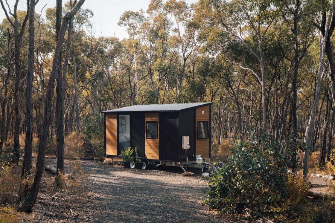 Treetops Farmstay 2 by Tiny Away