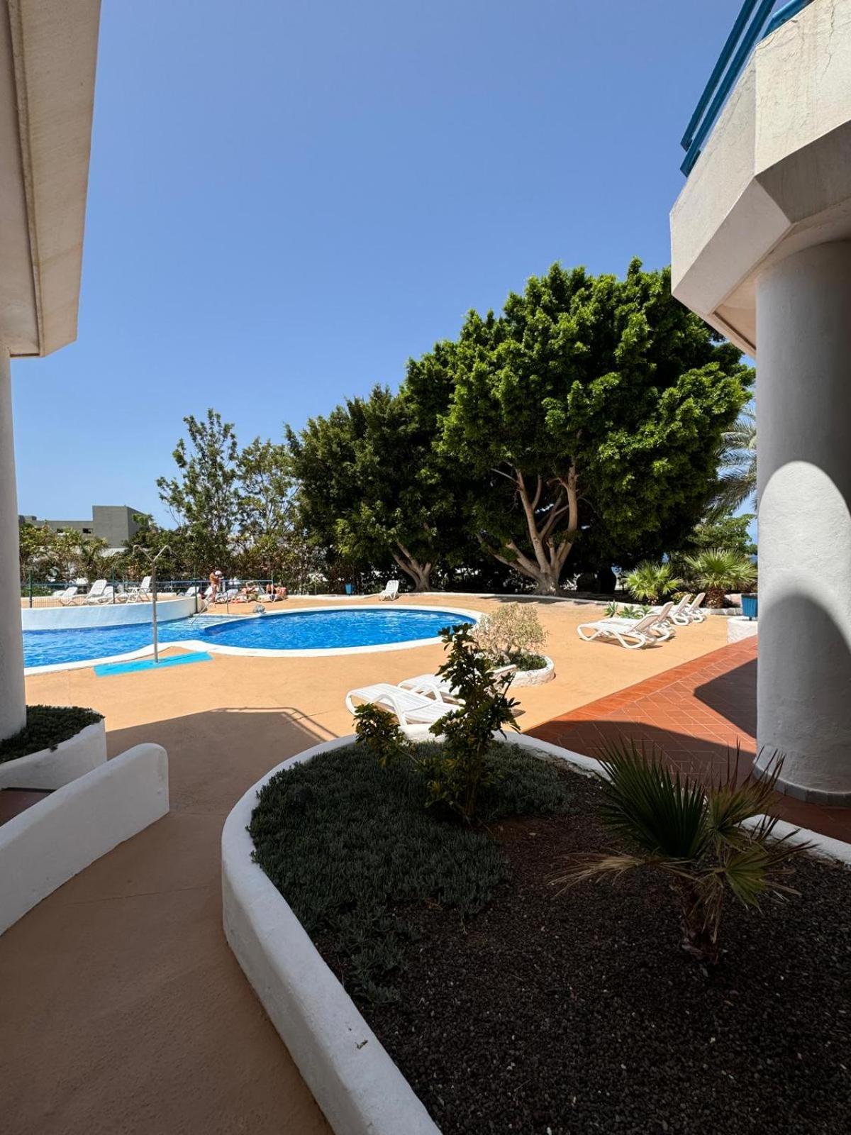 Paraiso Del Sur Tenerife -The swimming pool is under reconstruction