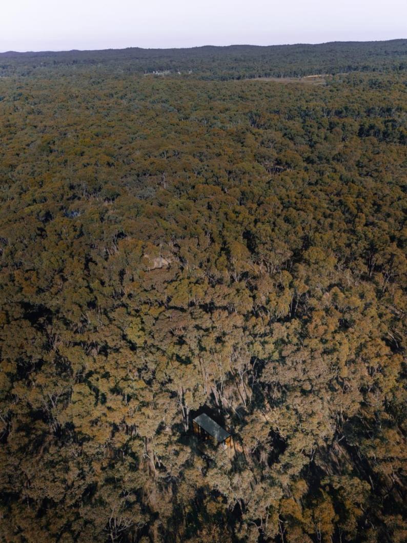 Treetops Farmstay 1 by Tiny Away