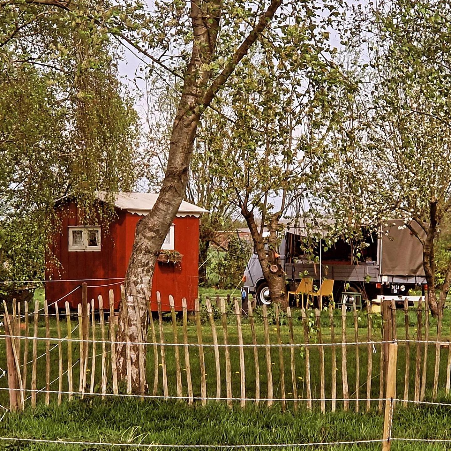 Kingsize Bed on Wheels en Tiny Red House view 5