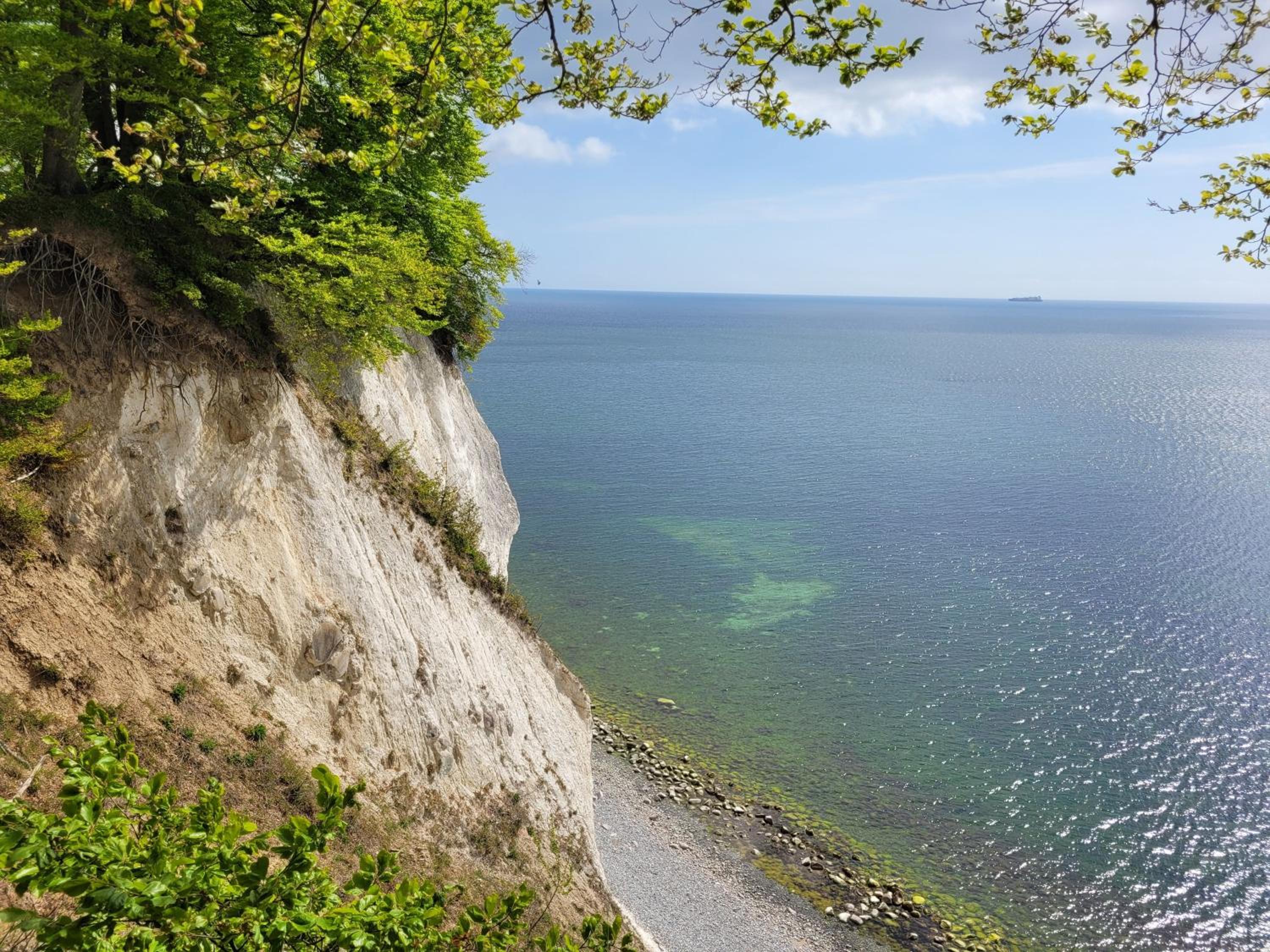 Haus am Nationalpark, Wohnung Wald & Meer view 2
