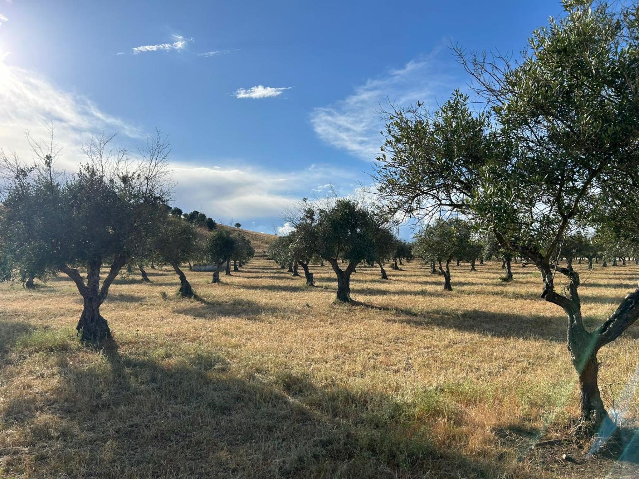Agroturismo Horta Da Vila