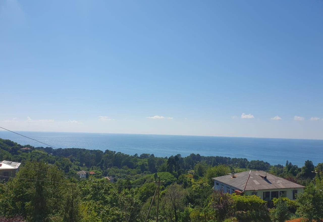 Seascape Tsikhisdziri