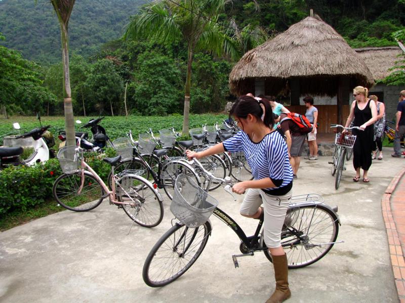 Whisper Nature Bungalow & Resort