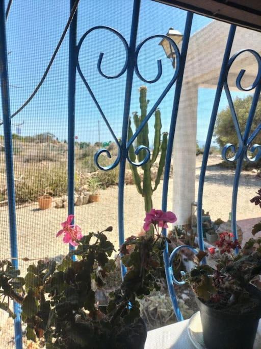 Cortijo El Ventorrillo de Agua Amarga