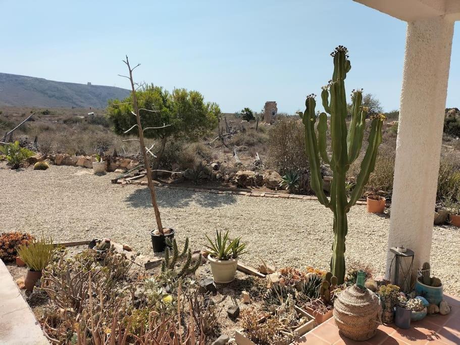 Cortijo El Ventorrillo de Agua Amarga
