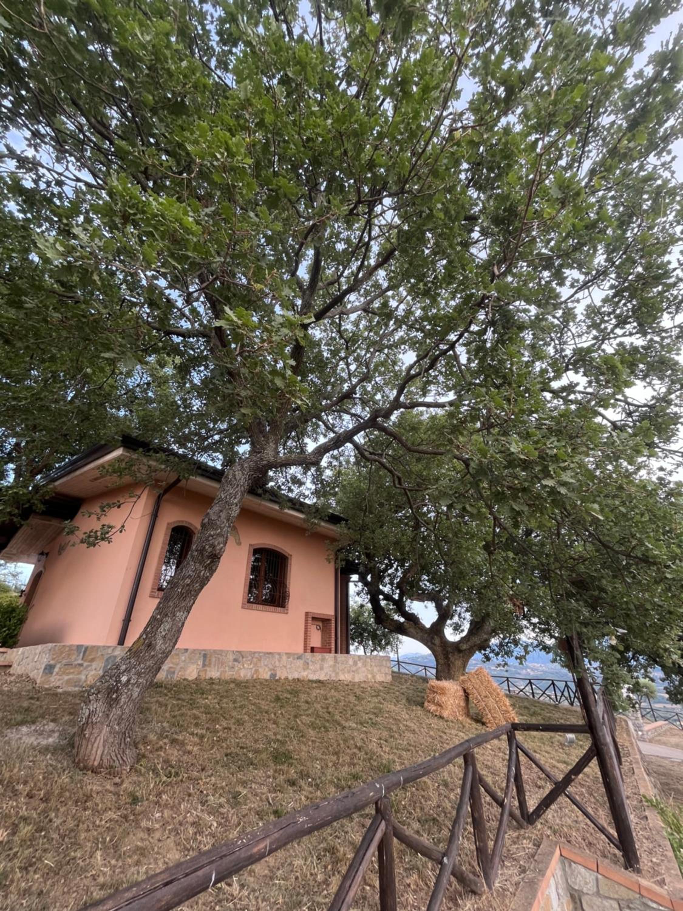 Tenuta Raimo view 4