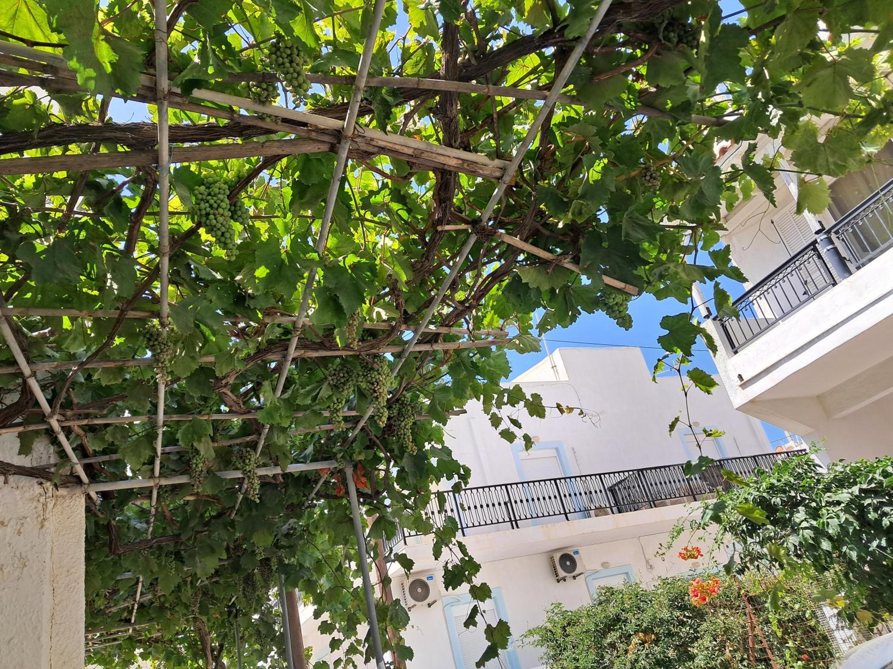 Dreeme Naxos