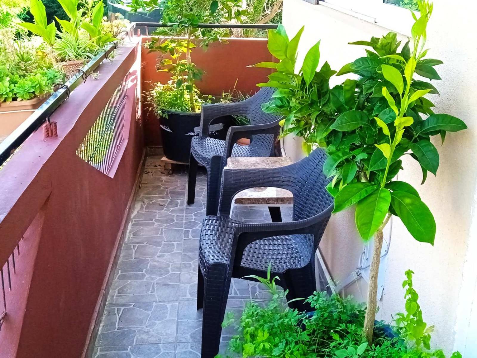 Apartman Becici No1 view 3