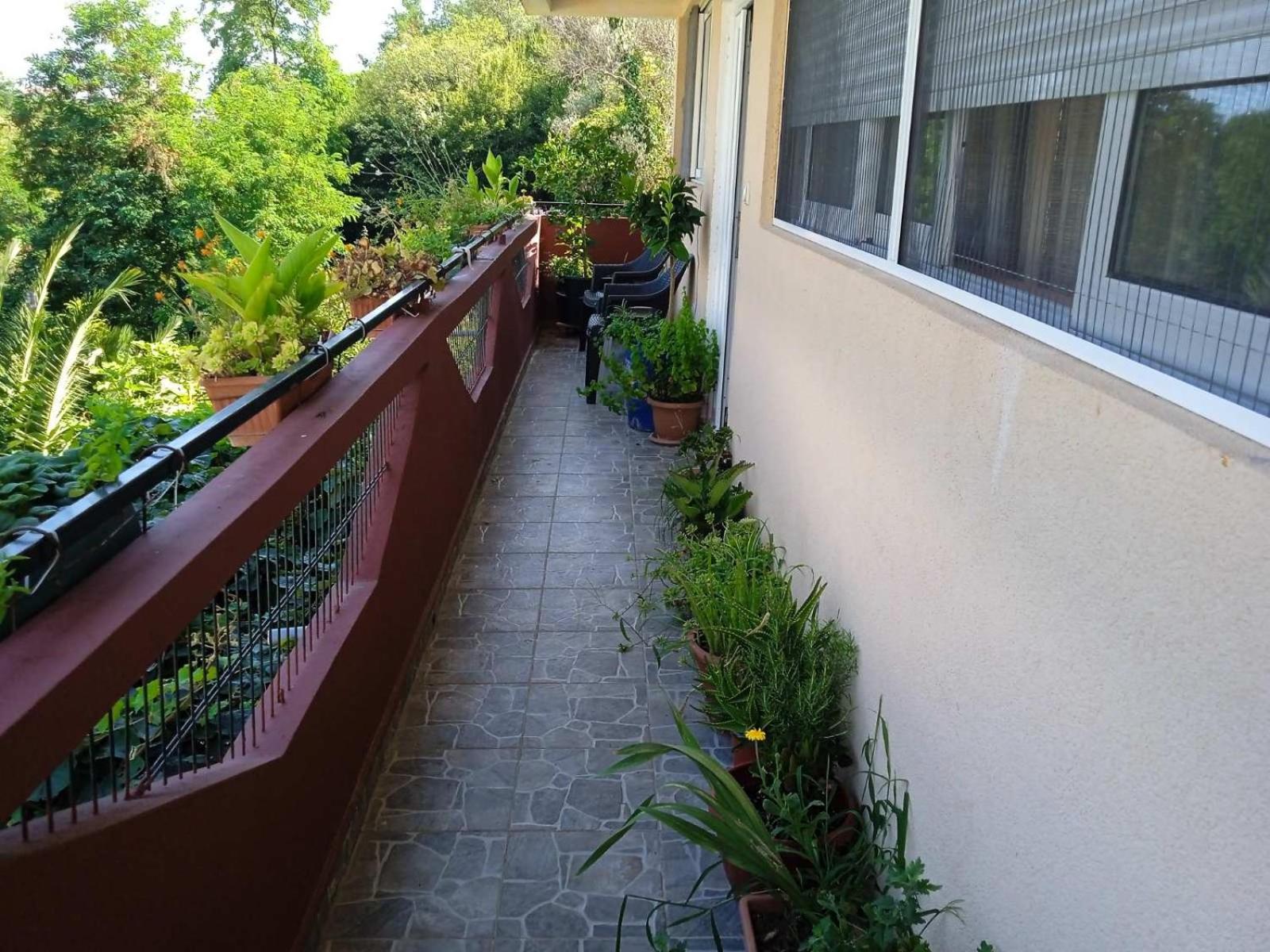 Apartman Becici No1 view 2