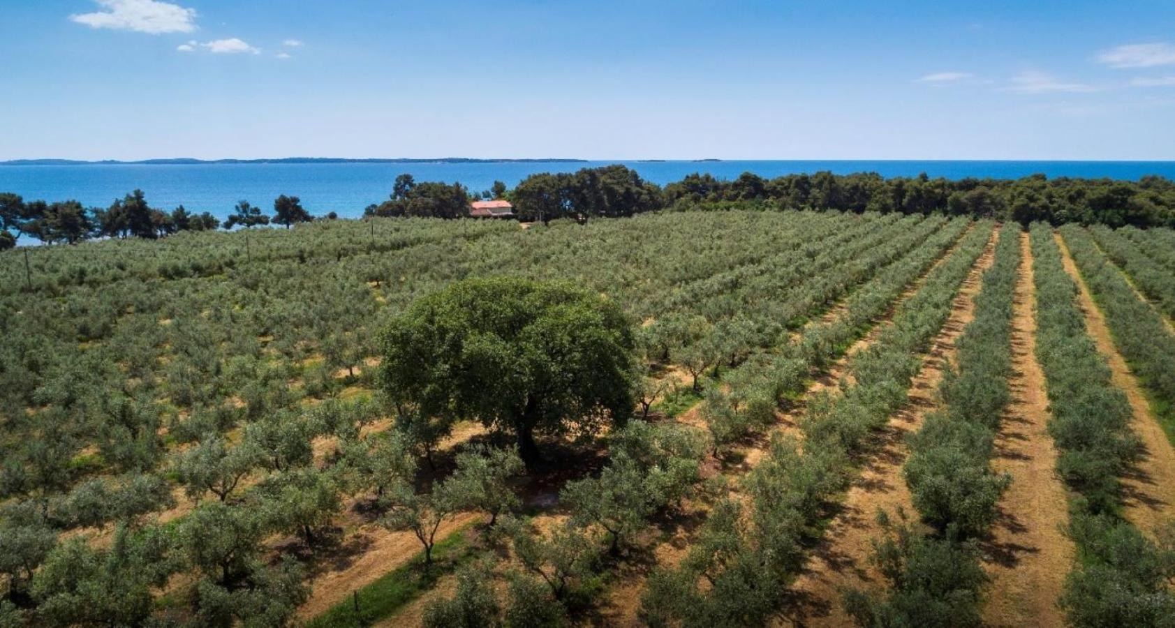 Casa Benessere Istria