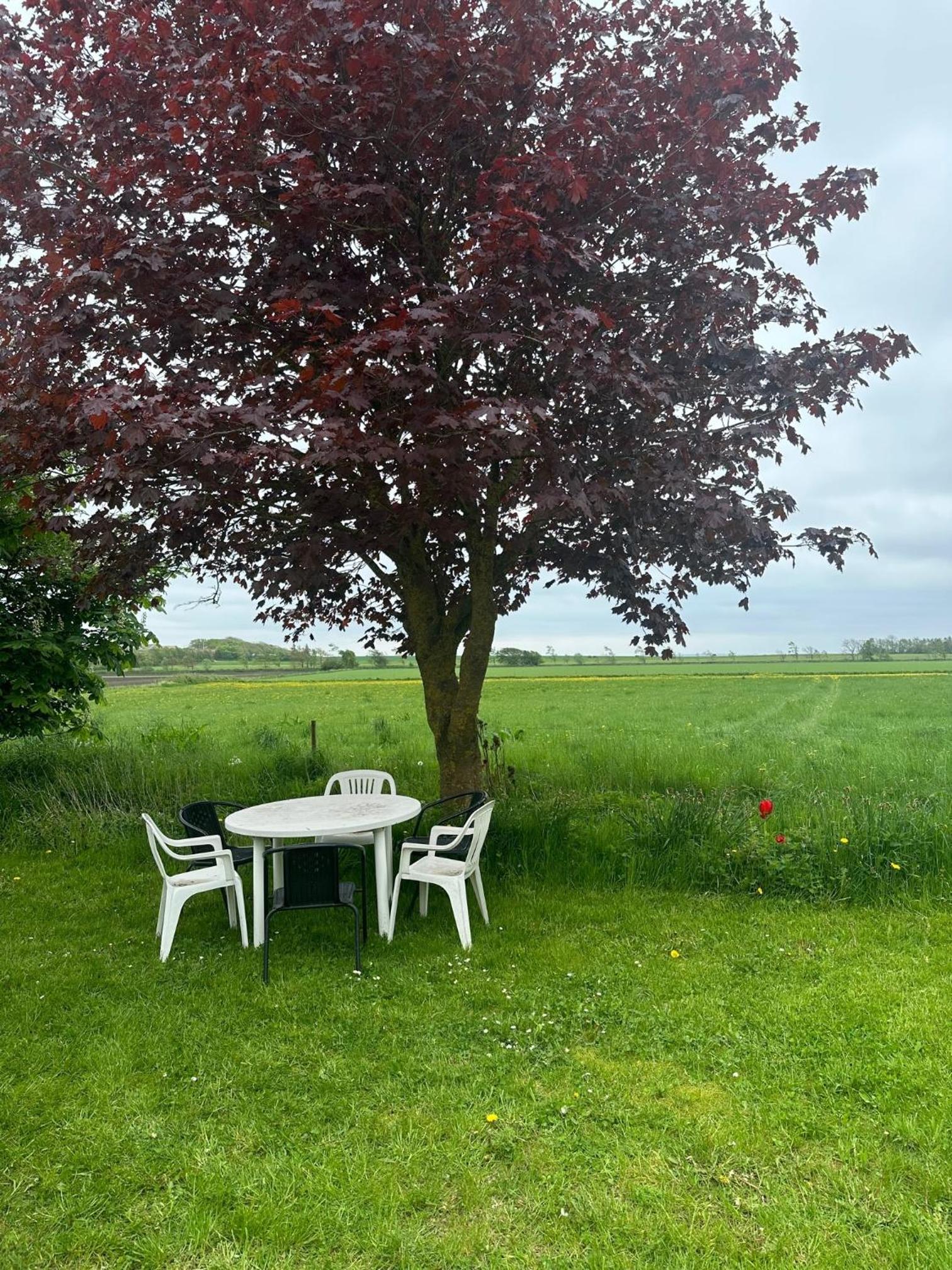 Sommerhus på Mors