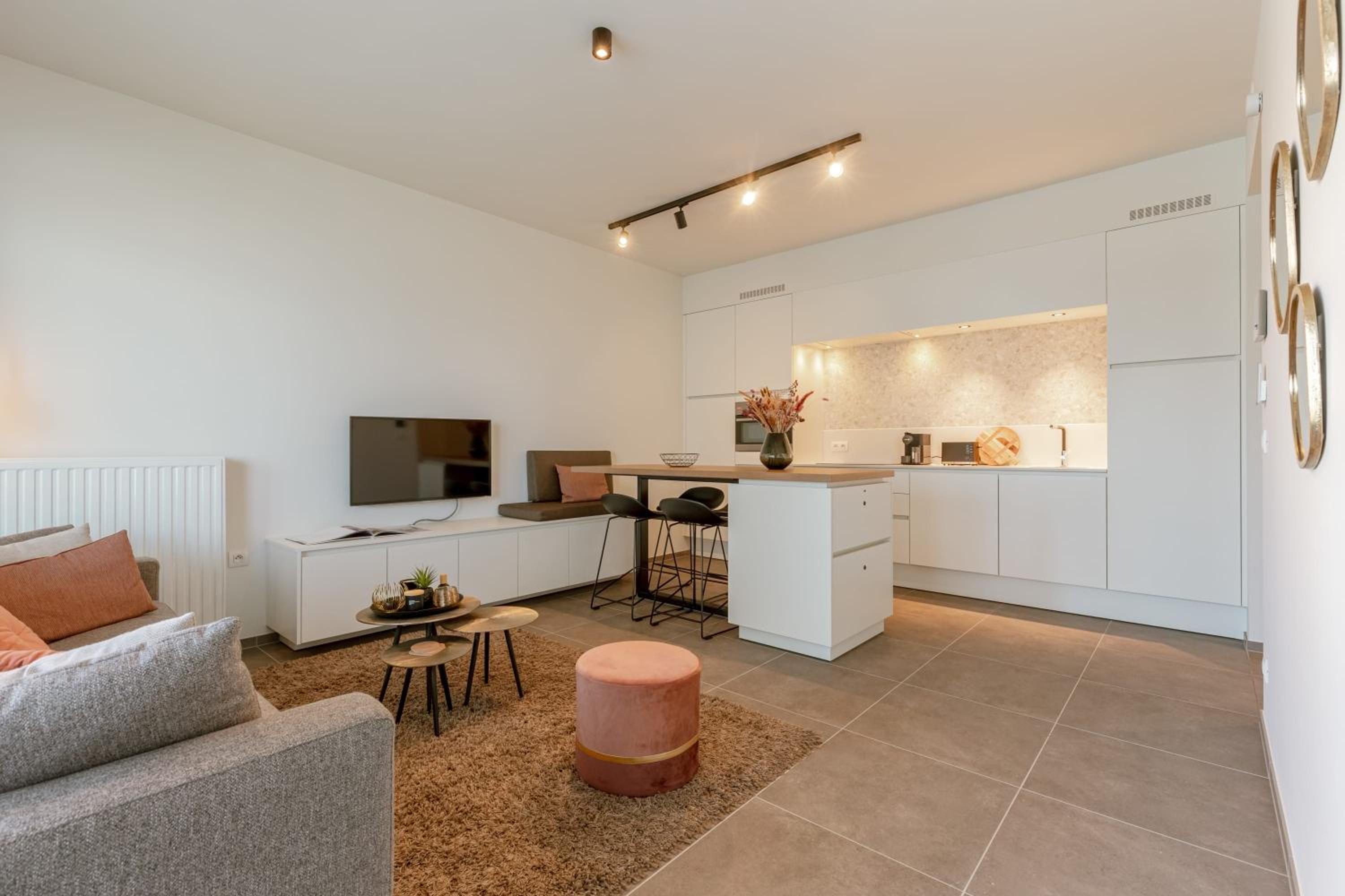Modern and stylish apartment with terrace