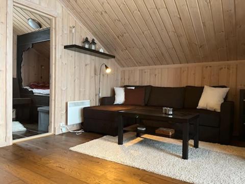 Hytte Gaustablikk