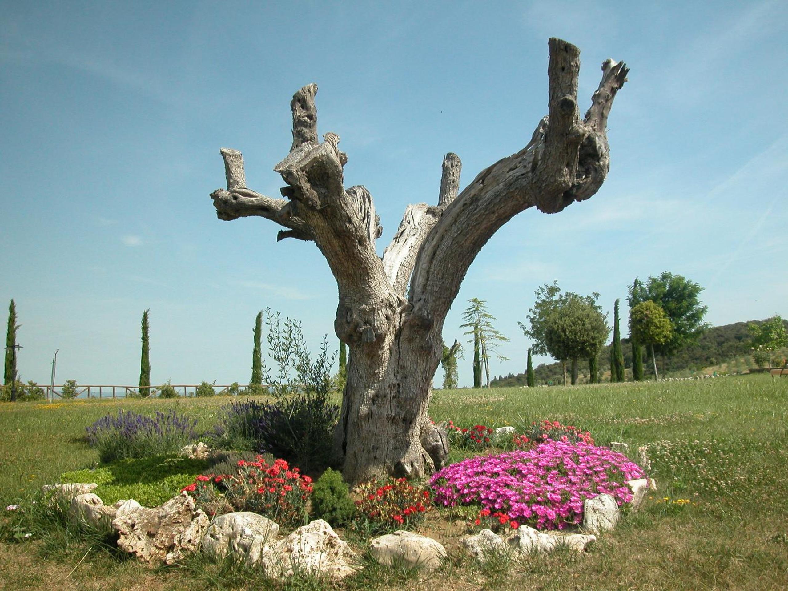 Casa Vacanze Il Fornacino