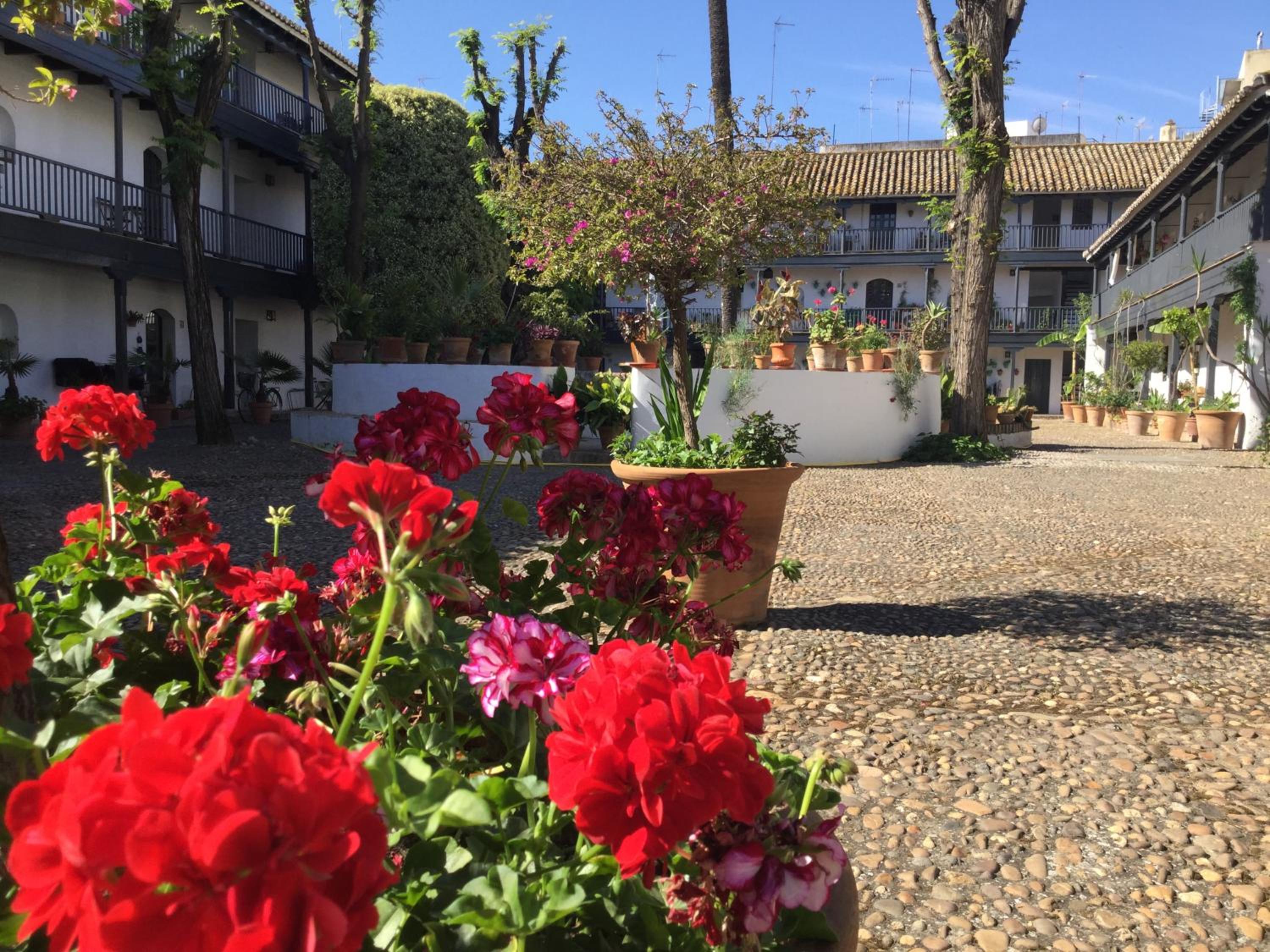 Andalusian Courtyard