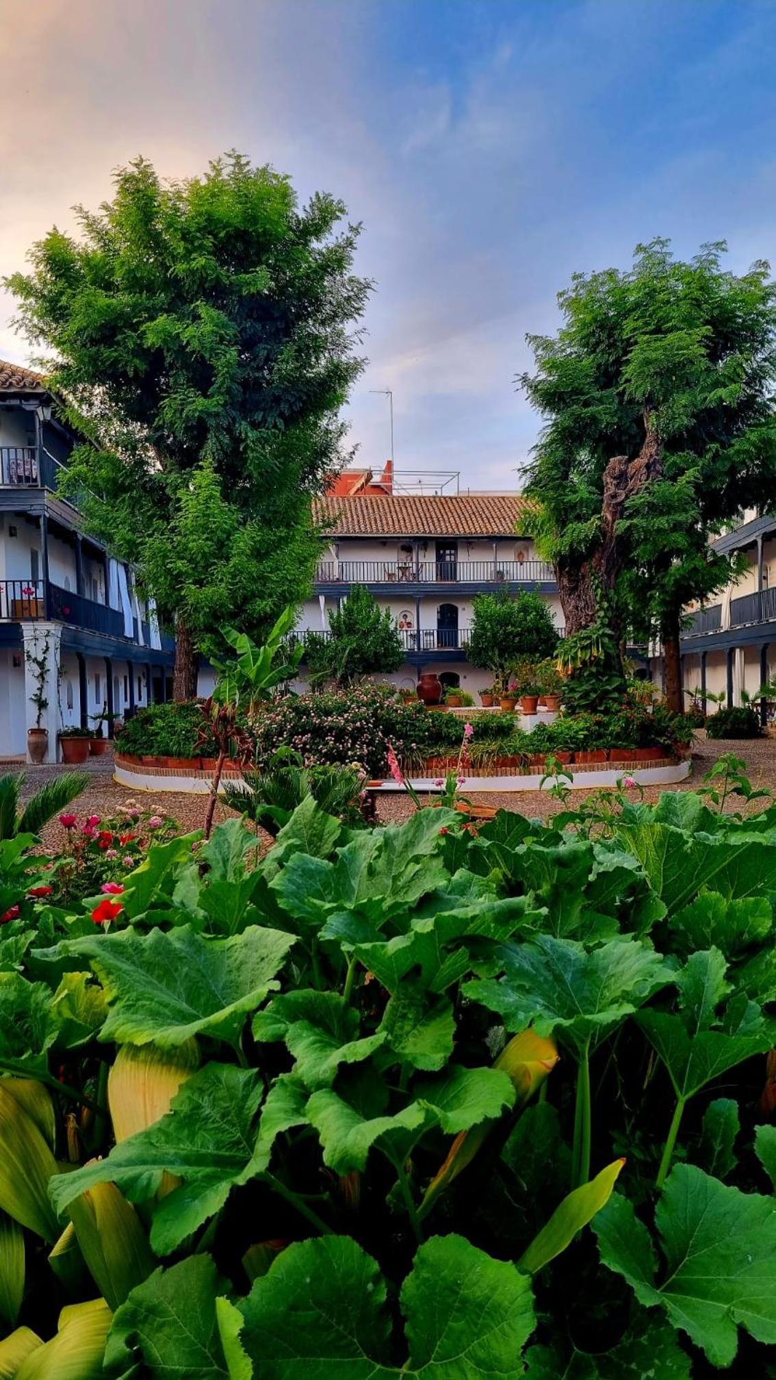 Andalusian Courtyard