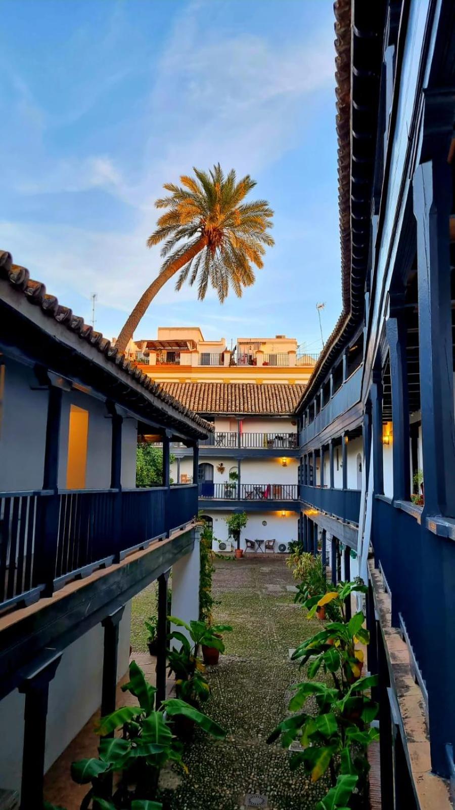 Andalusian Courtyard