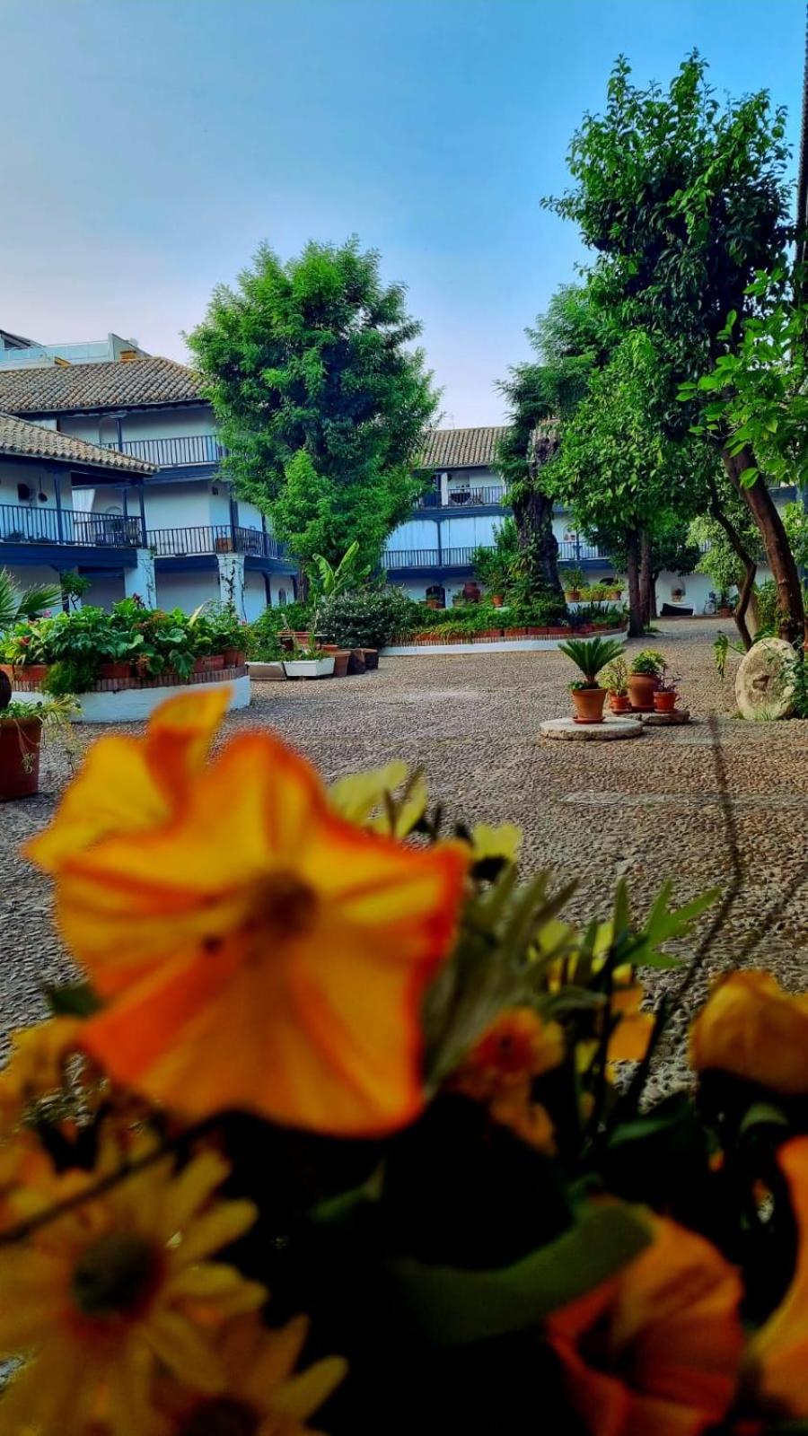 Andalusian Courtyard