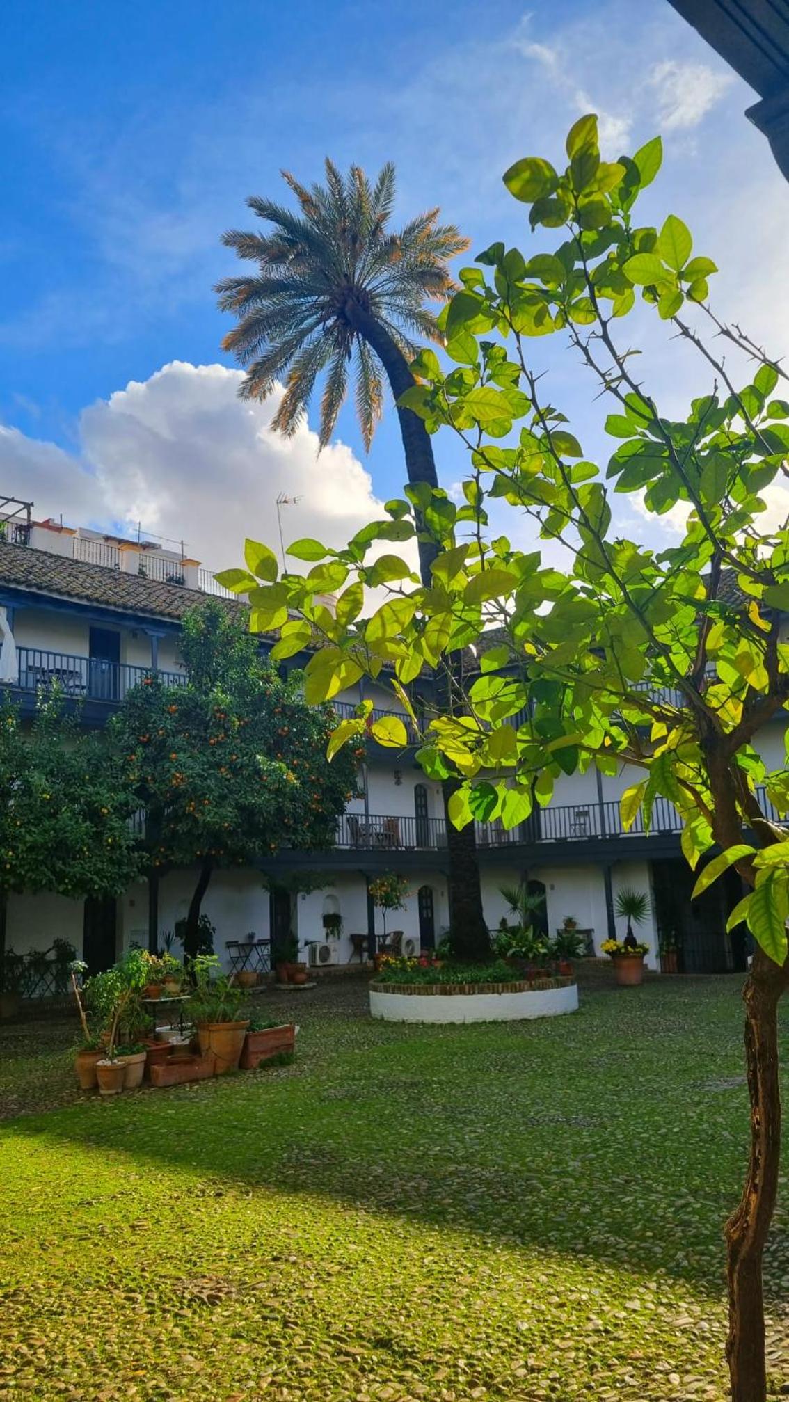 Andalusian Courtyard