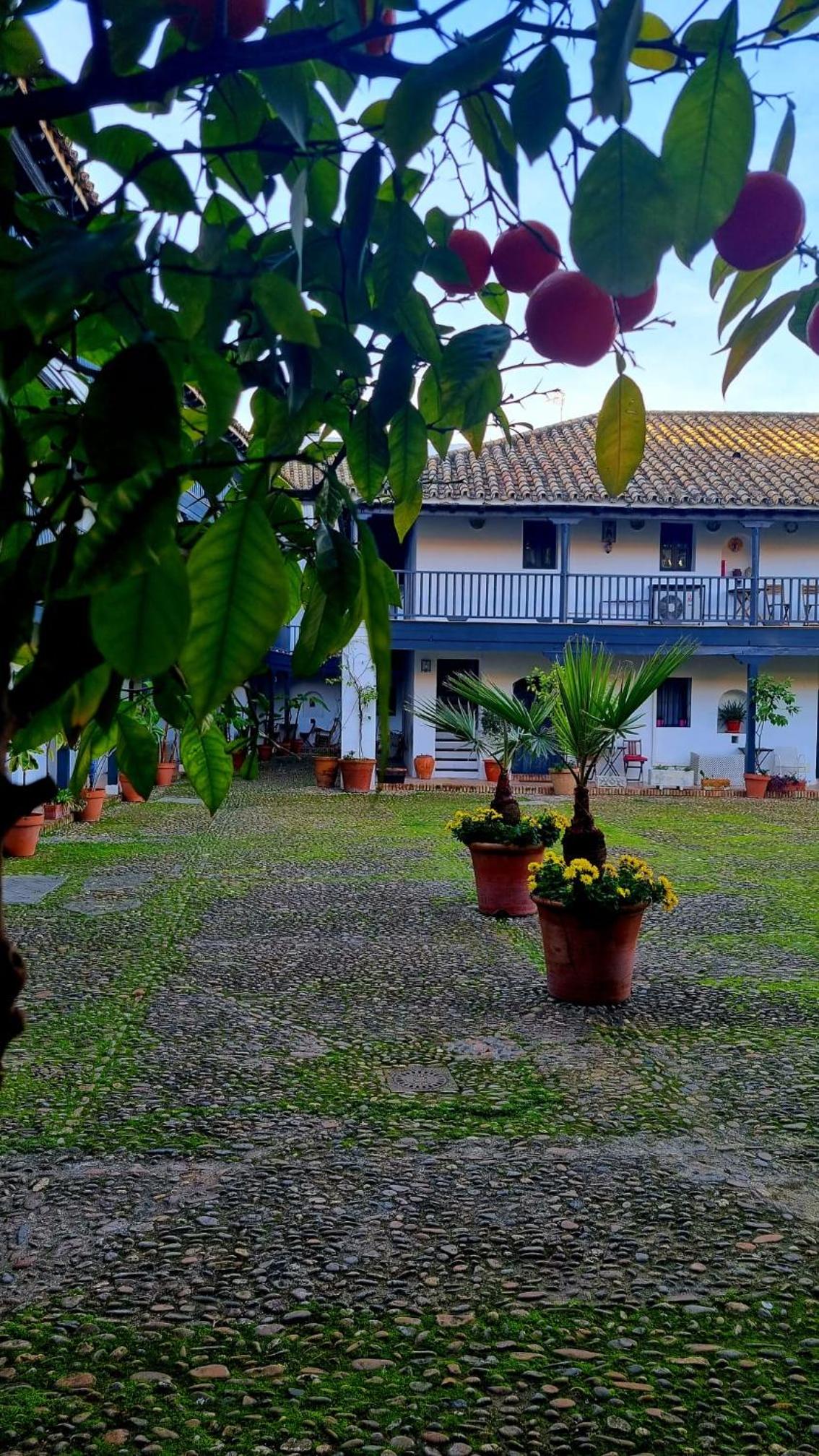 Andalusian Courtyard