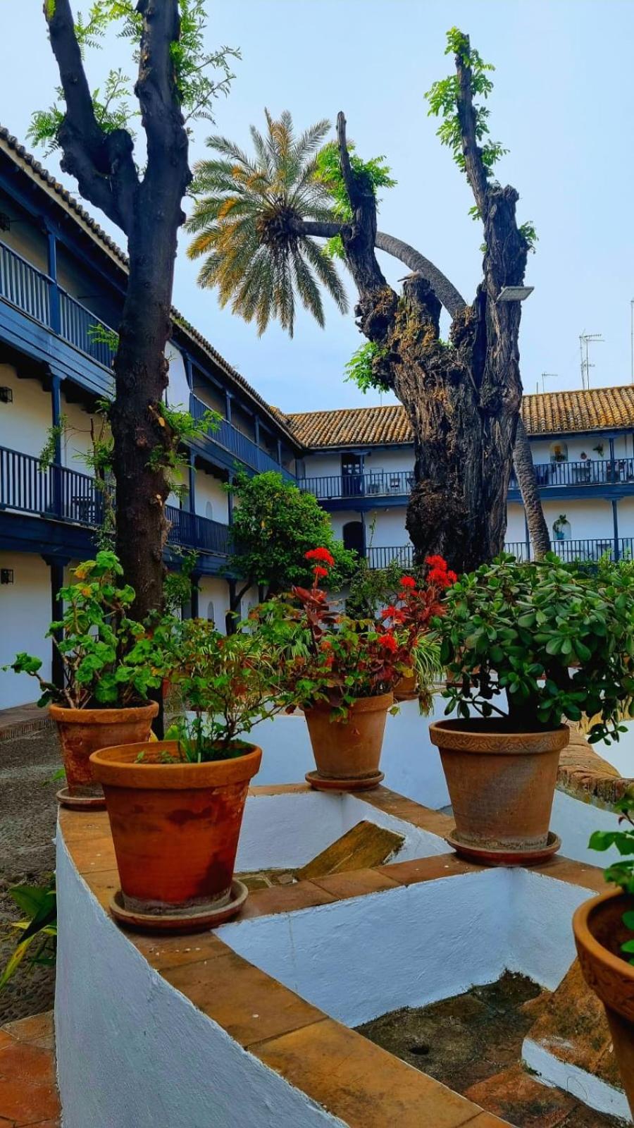 Andalusian Courtyard