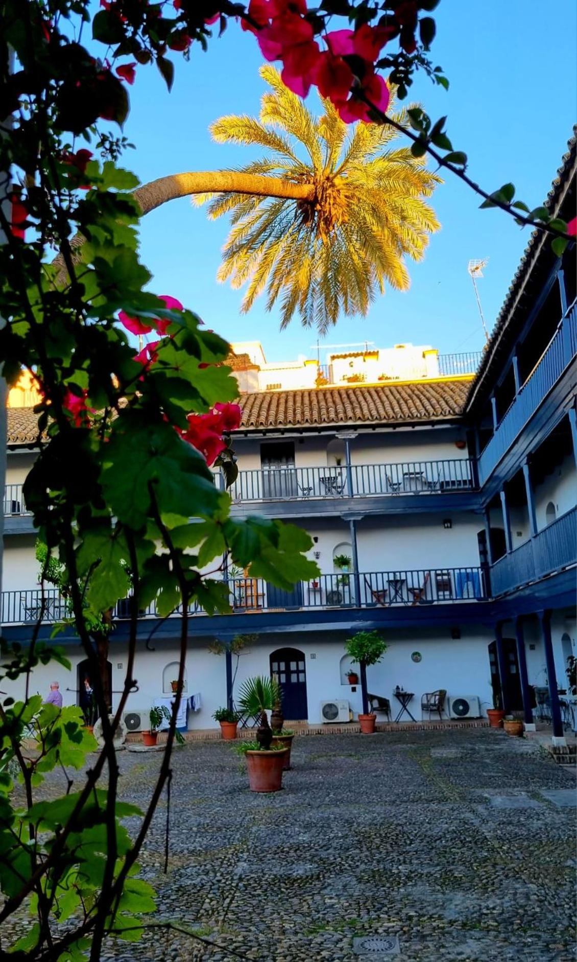 Andalusian Courtyard