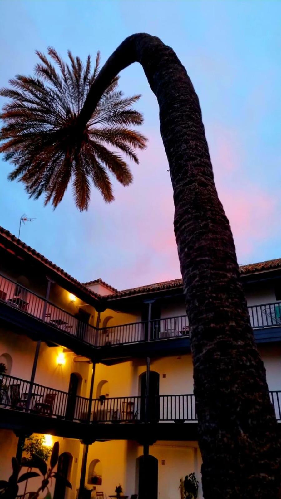 Andalusian Courtyard