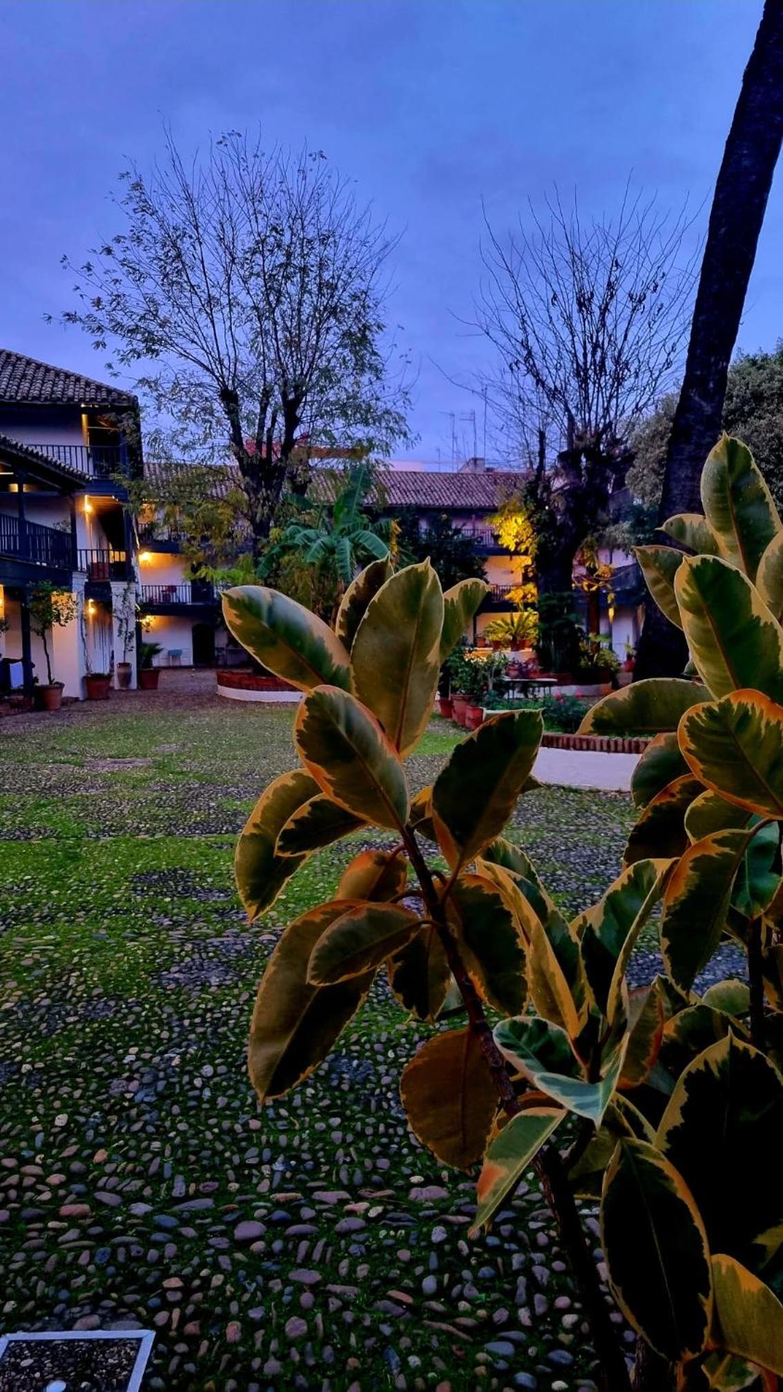 Andalusian Courtyard