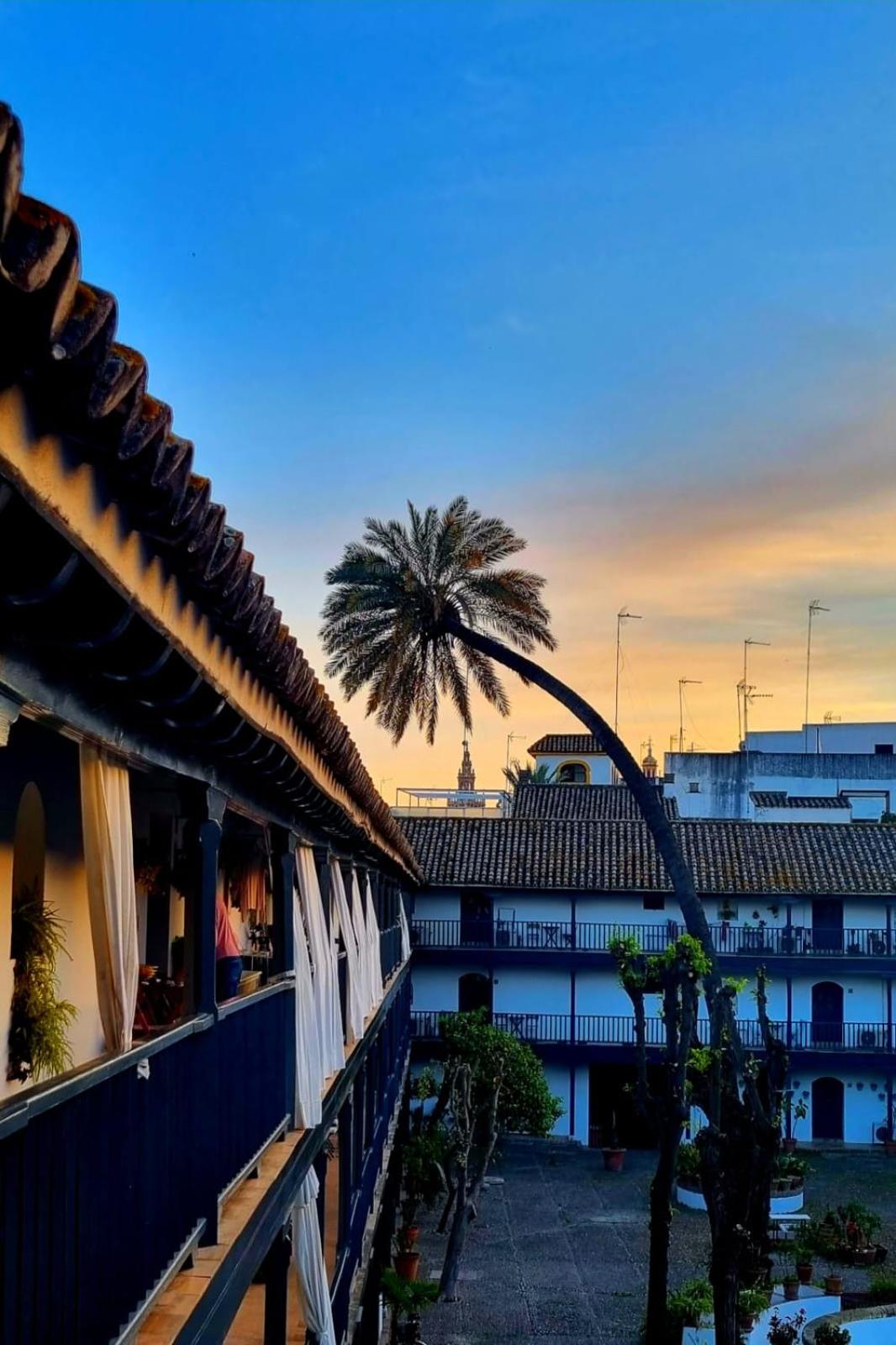 Andalusian Courtyard