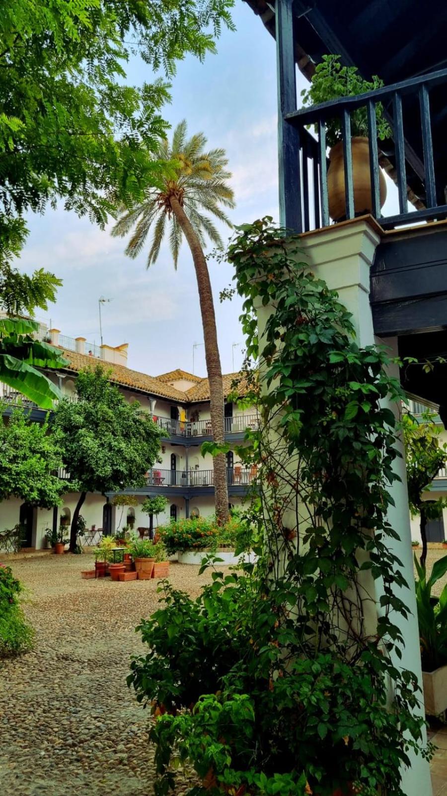 Andalusian Courtyard