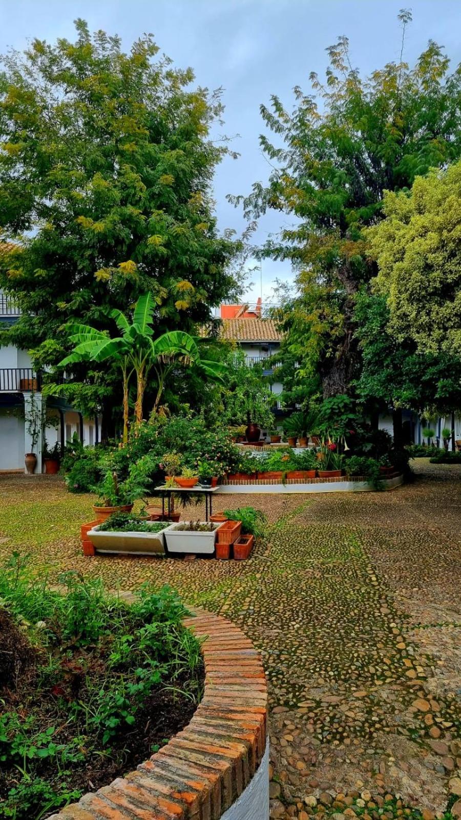 Andalusian Courtyard