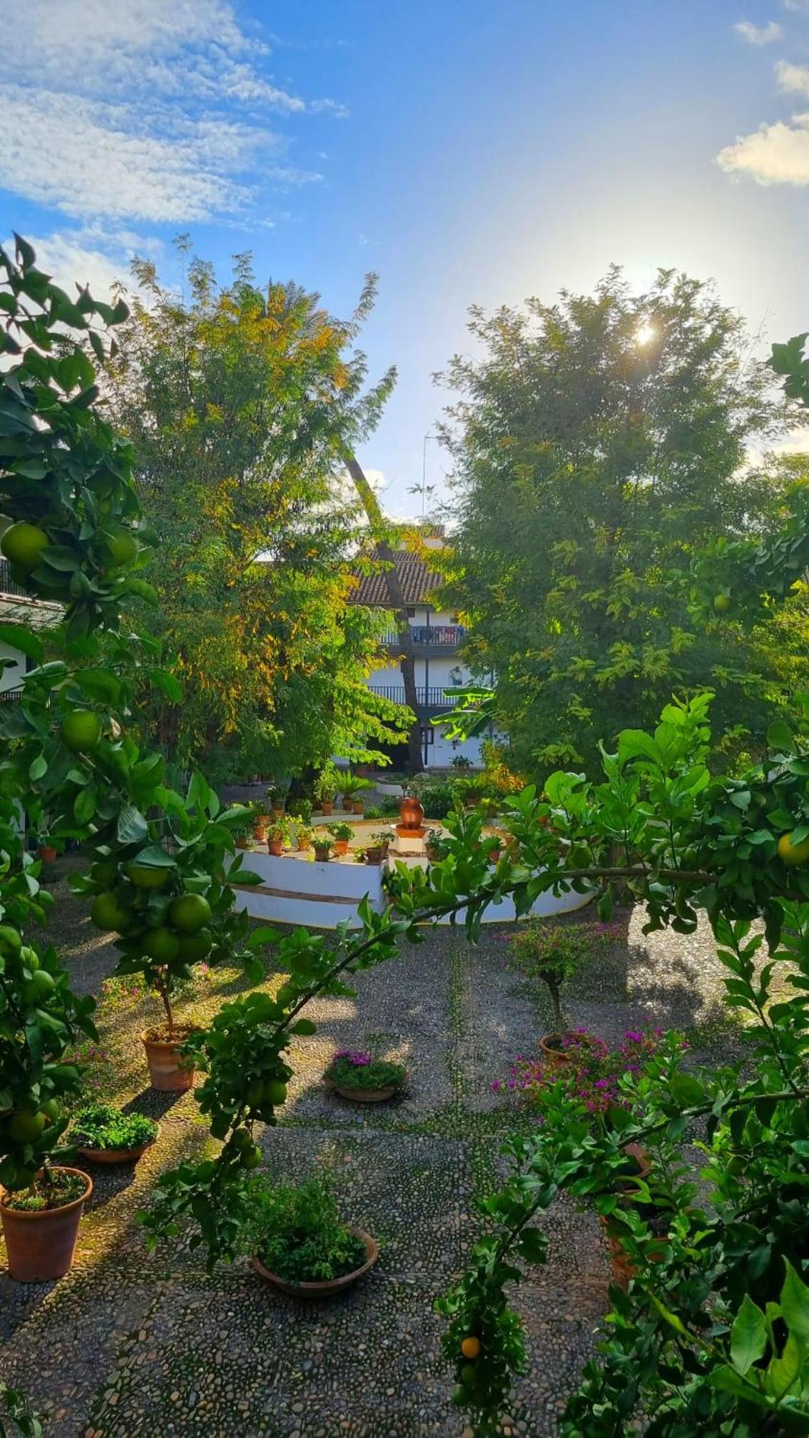 Andalusian Courtyard