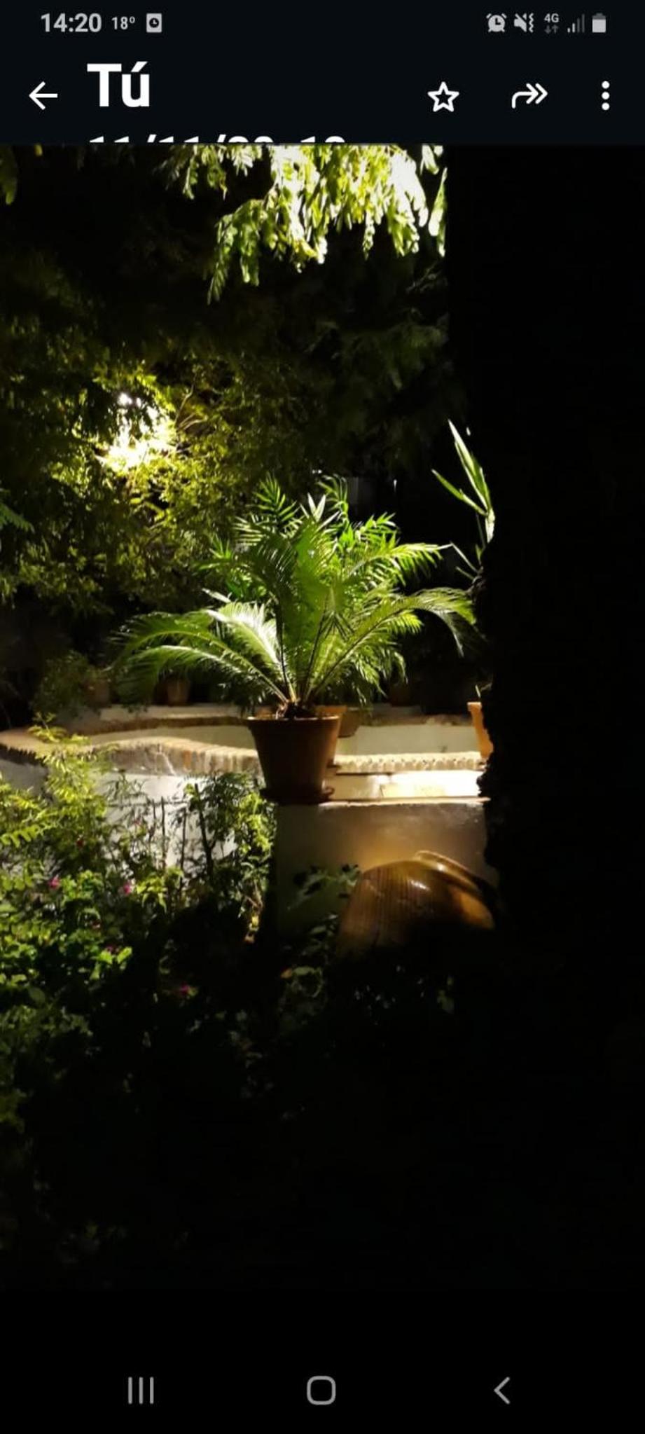 Andalusian Courtyard