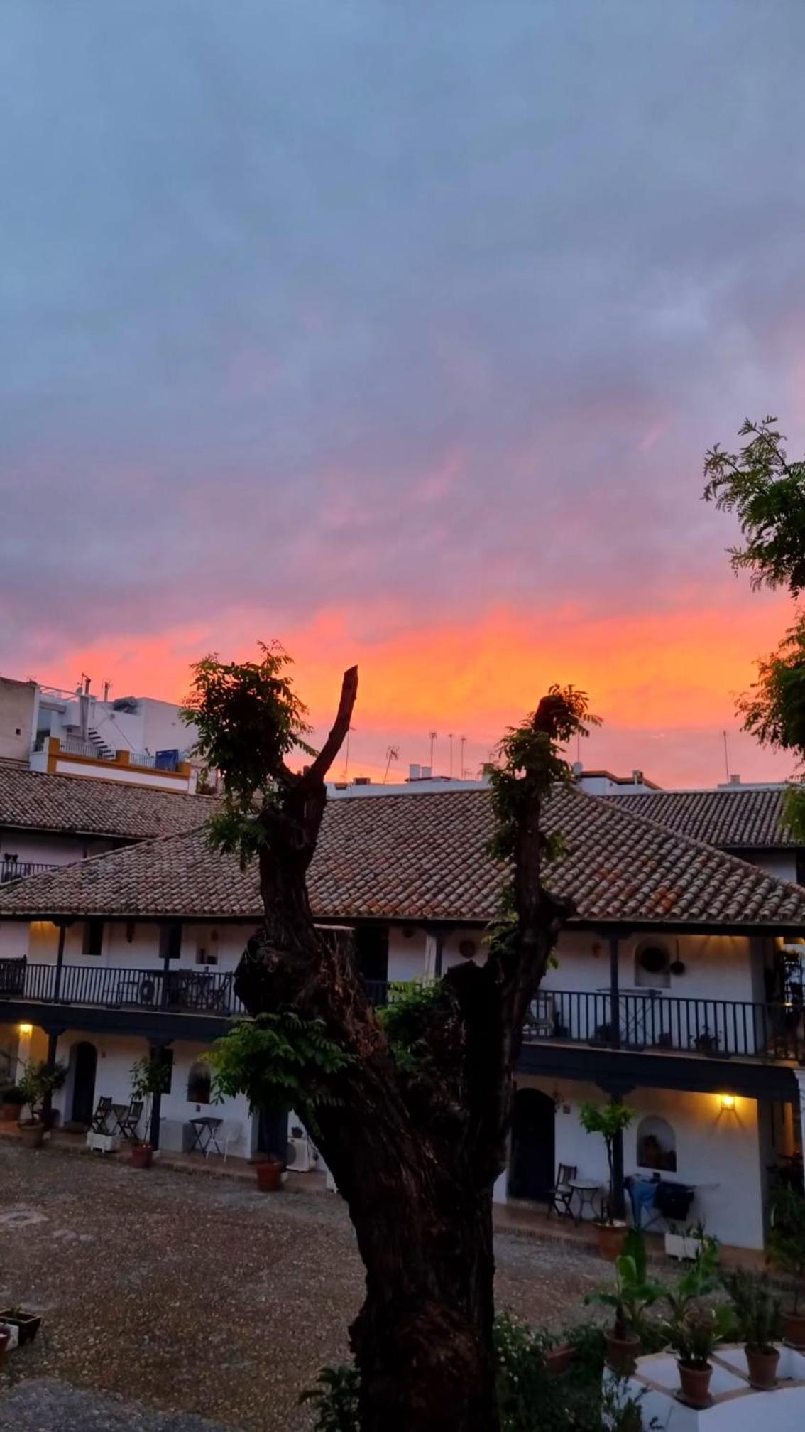 Andalusian Courtyard