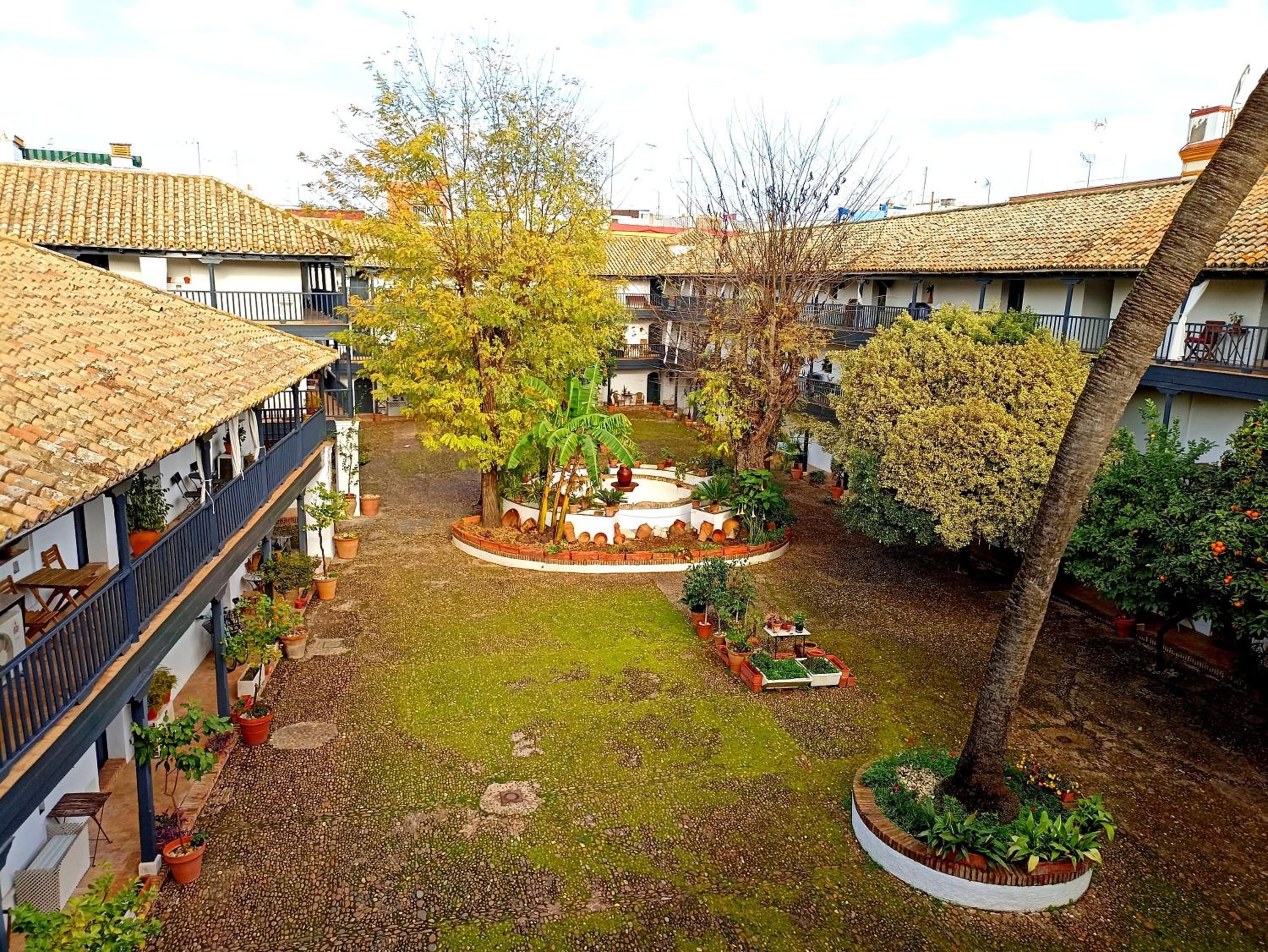 Andalusian Courtyard